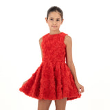 Regal Girl's Dress